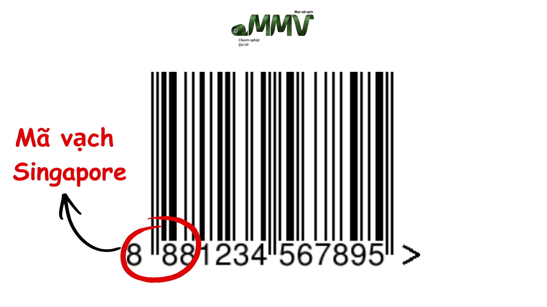 Mã Vạch 888 Của Nước Nào? Cách Đọc Và Kiểm Tra